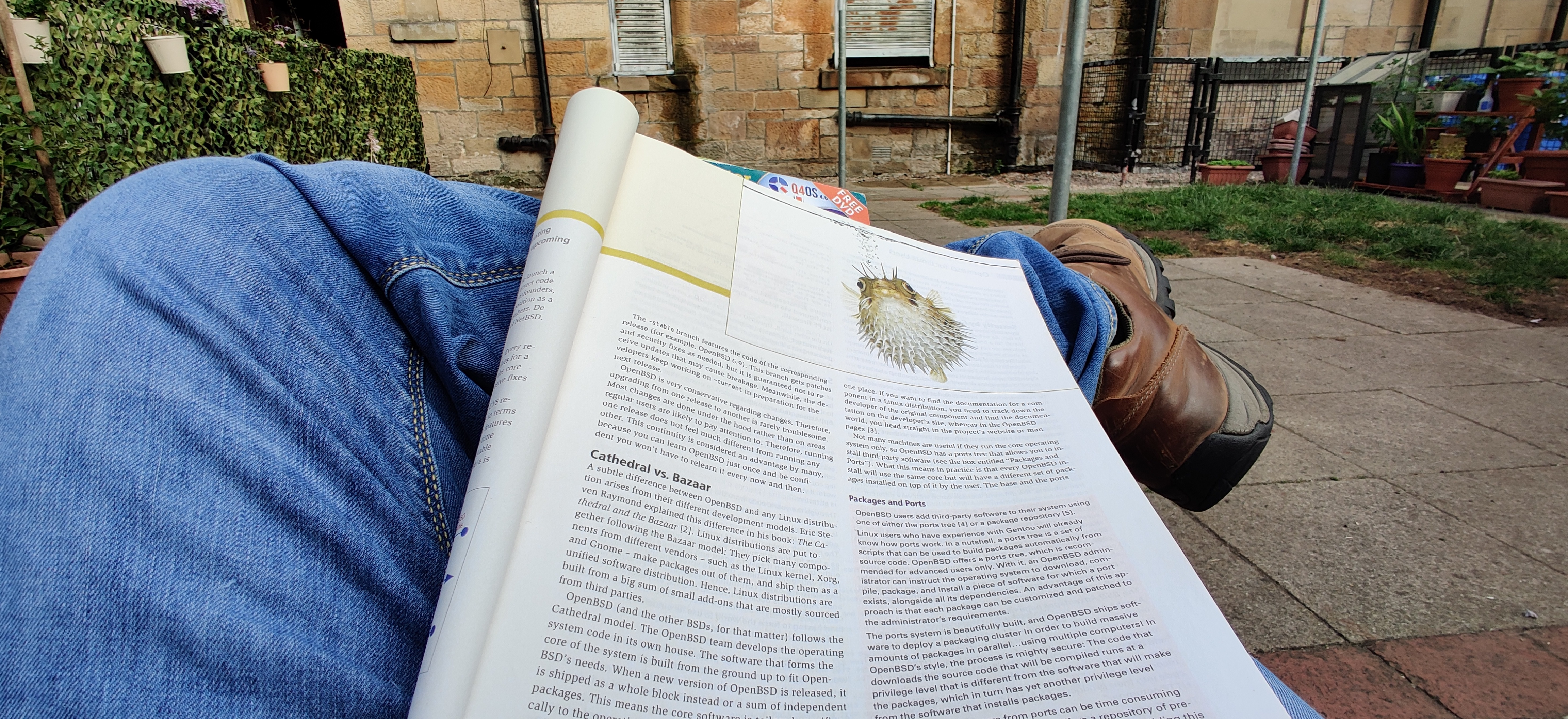 photo taken outside, reading Linux Magazine